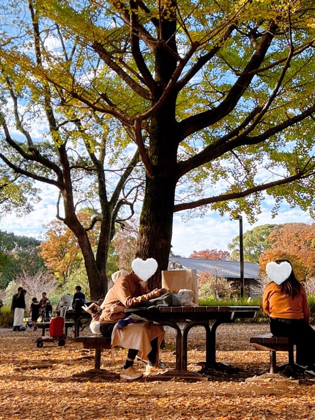 この時期におすすめ🧡秋ピクニックもうした？☺️🍁🍂🧺【東京・代々木公園】
