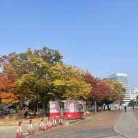 Free Park in Seoul during Autumn for 🍁🍂