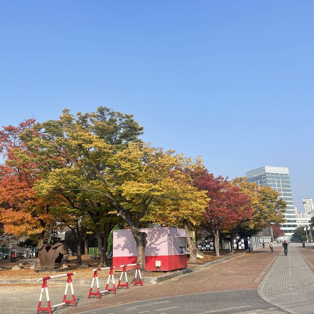 Free Park in Seoul during Autumn for 🍁🍂