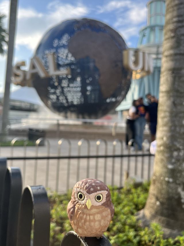 🇸🇬新加坡全世界最小的環球影城🐾懸掛式雲霄飛車🎢真刺激！