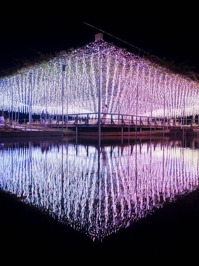【この冬絶対に行くべき！😳】あしふらのイルミネーションが美しすぎる！🎄✨