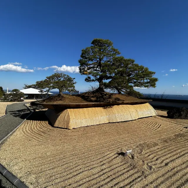 Bonsai garden inside ACAO forest