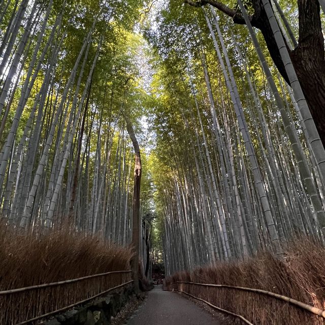 Day trip to Arashiyama- Japan