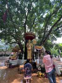 พาไปมูองค์ท้าวเวสสุวรรณ ท่านให้เลขเด็ด เกือบถูกหวย