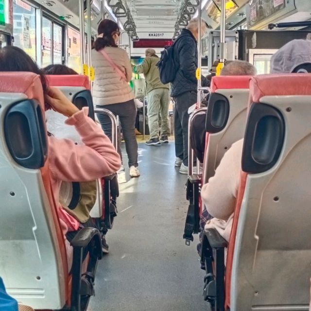 ［陽明山 美景］平菁街42巷櫻花盛開