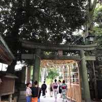 川越冰川神社⛩️超可愛釣魚求籤🤭