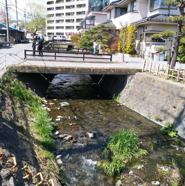 朝聖富士山第一景 淺間公園(part1)