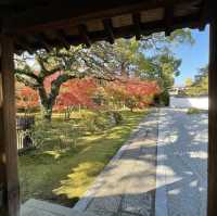 【福岡　博多】石庭が美しい
