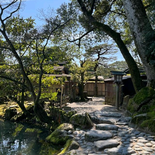 The amazing Kenroku-en Garden