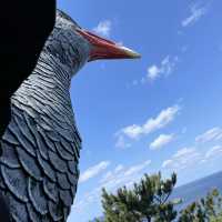 【沖縄県】やんばるの穴場観光スポット！
