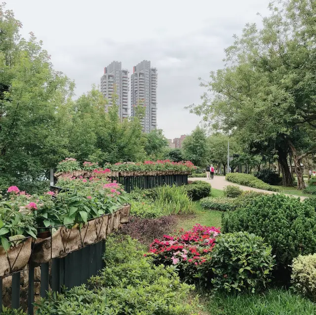 💐🌳心情好風景秀麗📍 Daan Forest Park 大安森林公園