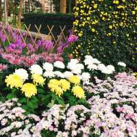 親子出遊好去處🌺🌸🌷 Shilin Residence Park (士林官邸公園) 🌹🌼🌻