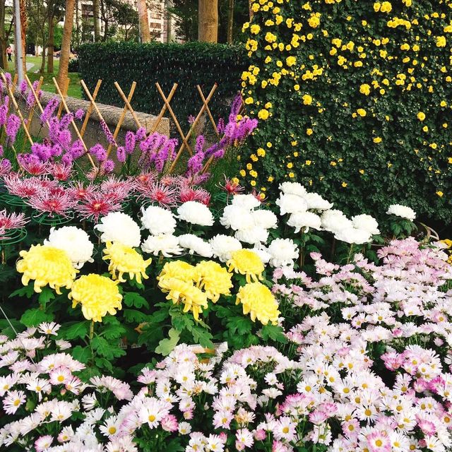 親子出遊好去處🌺🌸🌷 Shilin Residence Park (士林官邸公園) 🌹🌼🌻