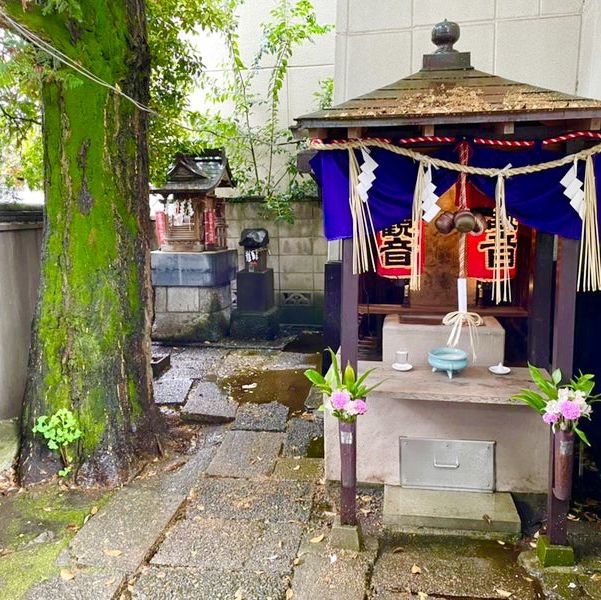【東京都/東神社】数少ない東京での湧水溢れる神社