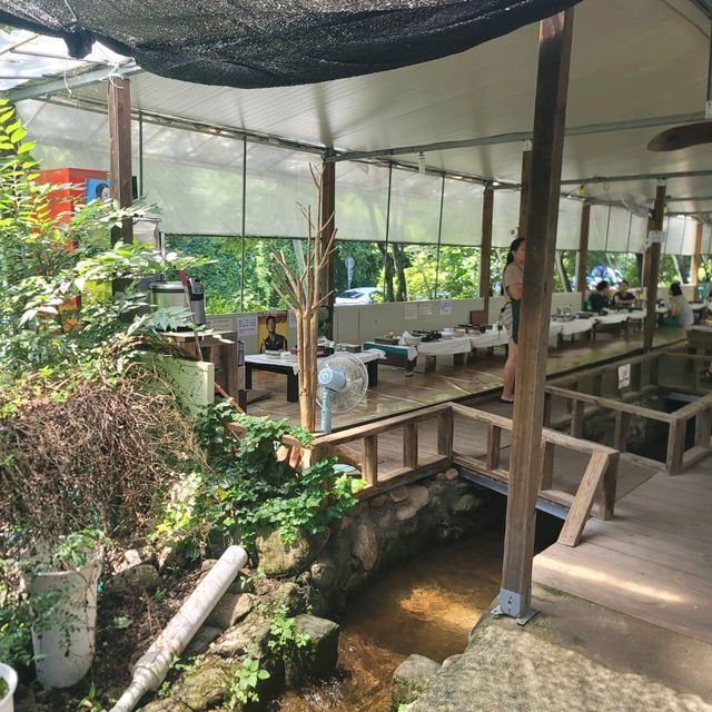 두근두근여름휴가 시원한 계곡물에 발을 담구고 백숙을 먹을 수 있는 곳 노목산장가든