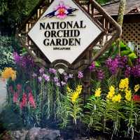 Beauty of Singapore Botanical Gardens