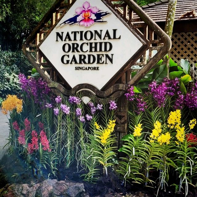 Beauty of Singapore Botanical Gardens
