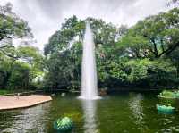 九龍公園 | 荷花池上的噴泉與花海