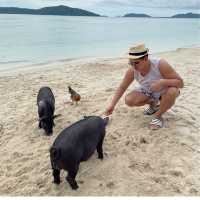 เกาะมัดสุม หรือ "เกาะหมูเมืองไทย” 
