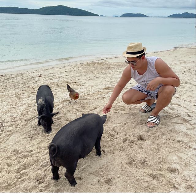 เกาะมัดสุม หรือ "เกาะหมูเมืองไทย” 