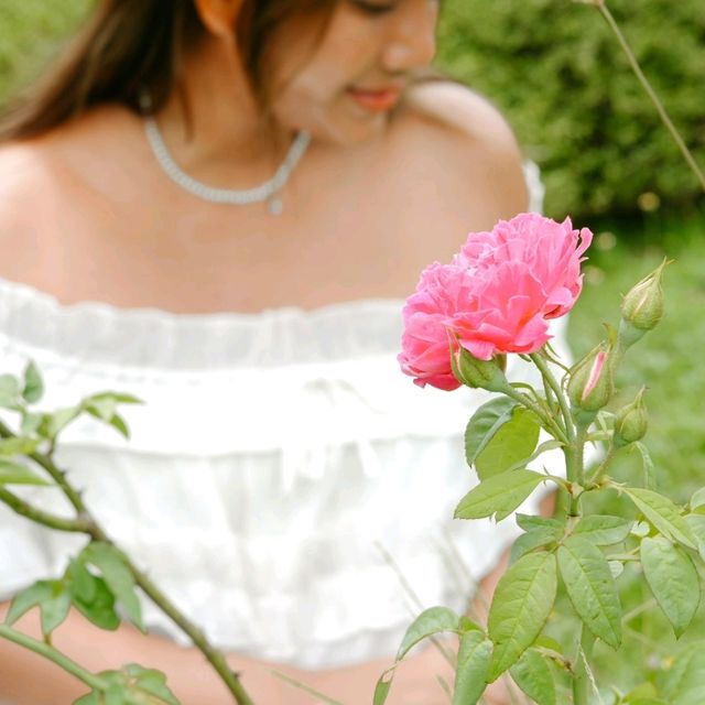 ลากแฟนไปนอนโรแมนติกรายล้อมสีเขียวที่เขาใหญ่