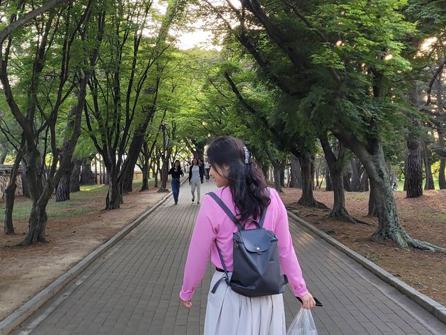 🇰🇷 경주 대릉원 나들이
