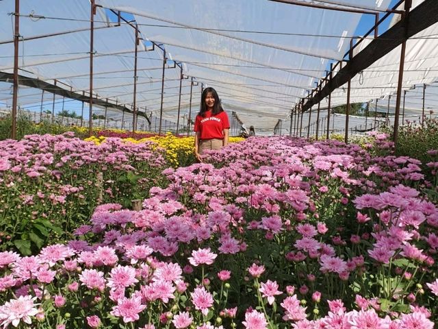Big Tae Garden💐