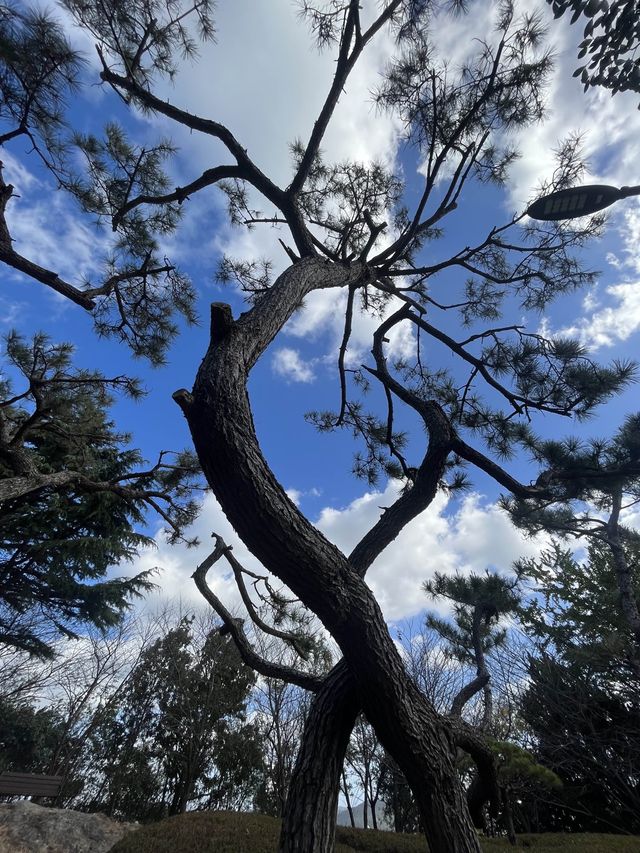 가벼운 국내 등산코스