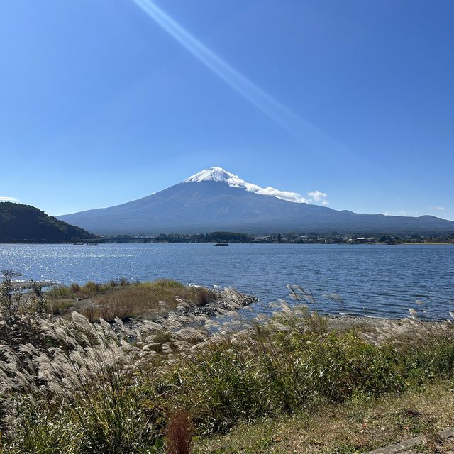 Fuji-san in falling season