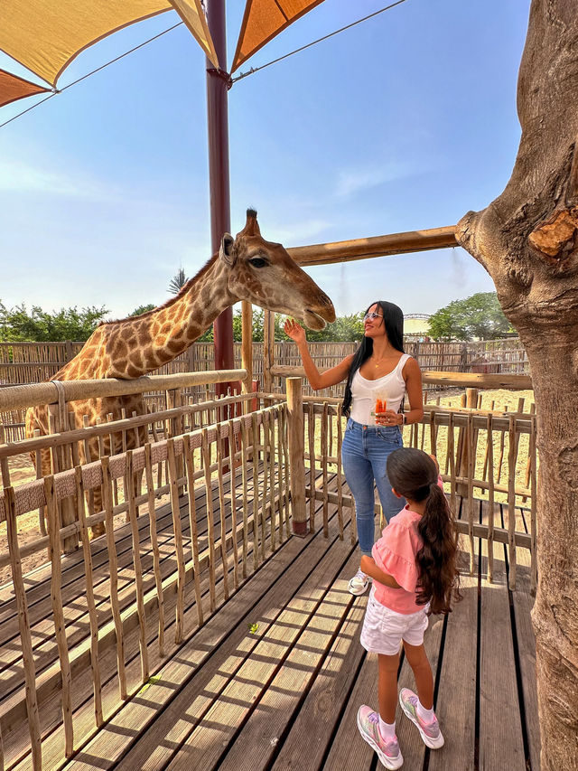 Dubai Safari Park: A Wild Experience