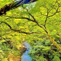 かずら橋