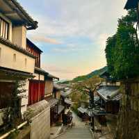 Exploring Higashiyama Neighborhood 