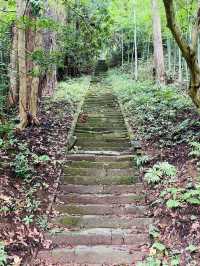 【山形県/鳥海山大物忌神社】行ってみて良かった！山形県の神社①