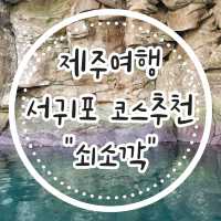 🚣‍♀️서귀포에 간다면 꼭 추천하는 "쇠소깍 카약'타기🚣‍♂️