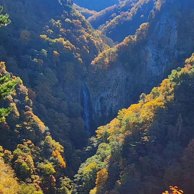 明池國家森林遊樂區 🌲🏞️天然寶庫🌳🌄