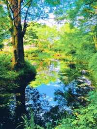 【絶景】神秘的なパワースポット！世界遺産の忍野八海🗻