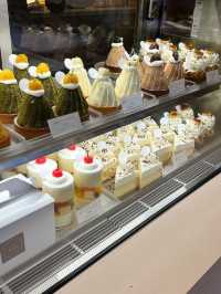 【福岡カフェ】おいしいタルトがたくさん並ぶショーケースがたまらないカフェ