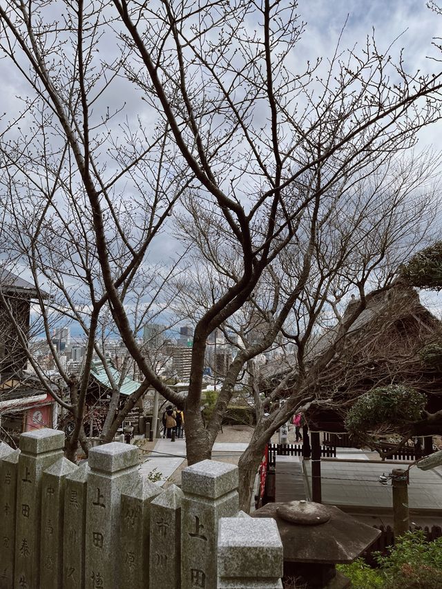 고베의 풍경을 담은 여행 필수 코스 신사⛩️