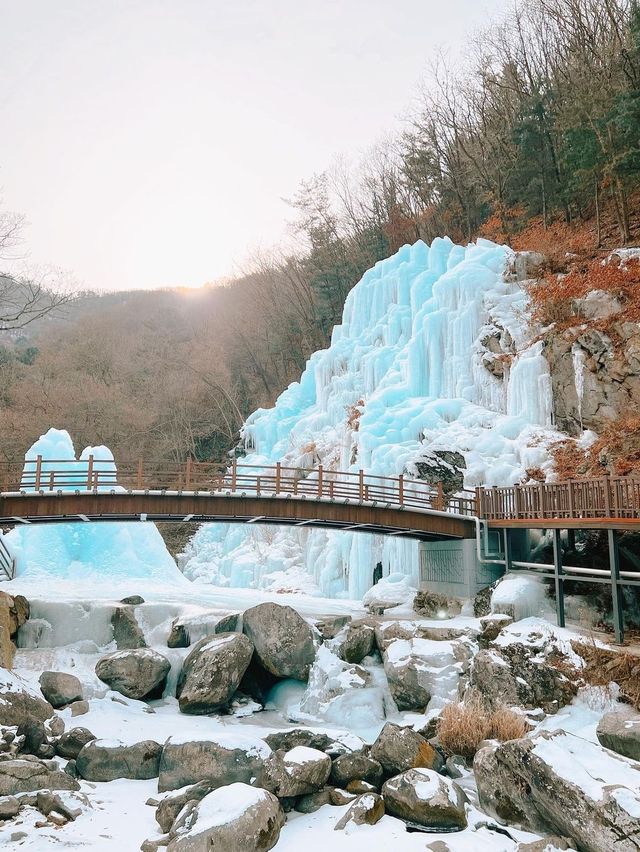 서울 근교에 위치한 얼음계곡 어비계곡❄️