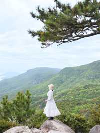 【香川】まるでジブリの世界🌳アートが点在する島でめぐるおすすめスポット10選🌼 