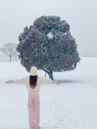 눈 올땐 삿포로 부럽지 않은 서울 올림픽공원🩵❄️