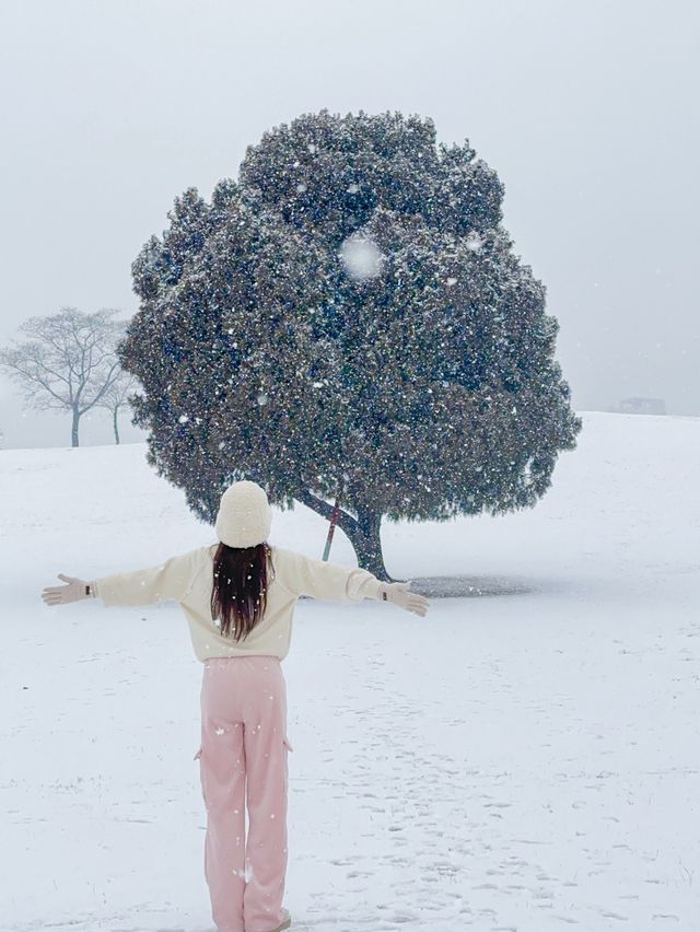 눈 올땐 삿포로 부럽지 않은 서울 올림픽공원🩵❄️
