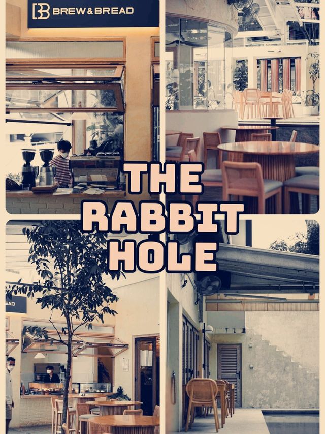 The Rabbit Hole