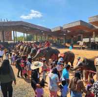 Elephant World