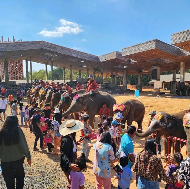 Elephant World
