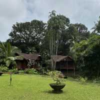 Tanjung Inn-Best Place to Stay In Cherating