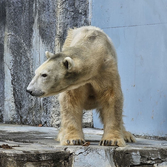 Tobe Zoological Park