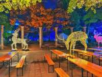 福岡・天神。クリスマスイルミネーションで華やかな『天神中央公園』