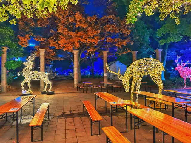 福岡・天神。クリスマスイルミネーションで華やかな『天神中央公園』