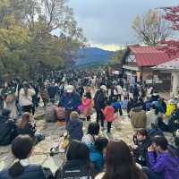 【2024】東京近郊好去處！高尾山：纜車上山，可望富士山！